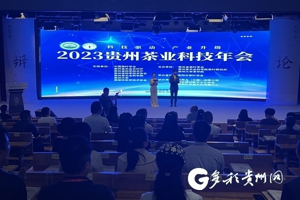 利记-贵州队突破瓶颈，取得胜利