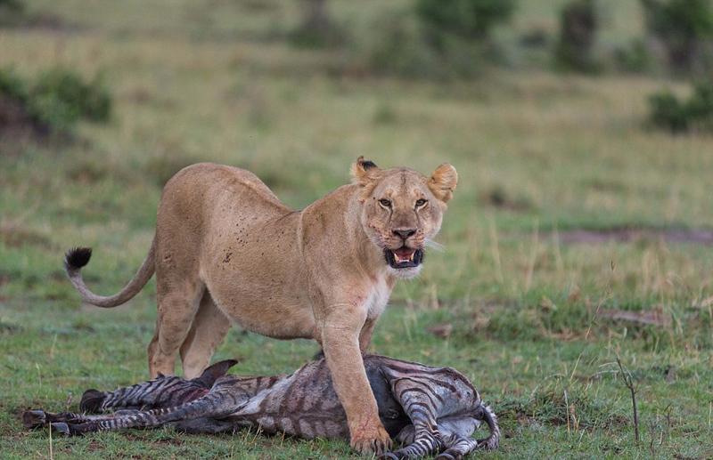 利记官网-波兰华沙深陷泥淖，艰难前行